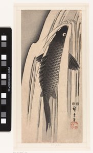 Carpa a nadar contra uma queda de água de Hiroshige (I) , Utagawa