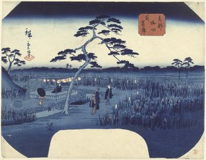 Íris floridas em Horikiri na capital oriental Toto Horikiri hanashobu (título no objeto)