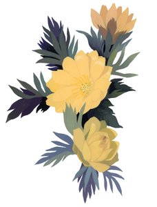 Adonis ramosa de Hiroyuki Izutsu