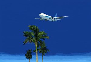 Avião e palmeira