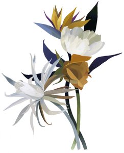 Uma flor imaginária com uma base branca. de Hiroyuki Izutsu
