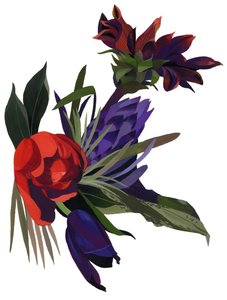 Tulipas e dahlias.