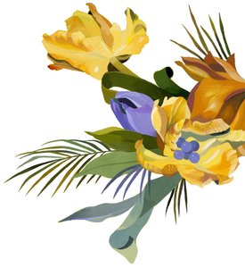 Tulipa amarela