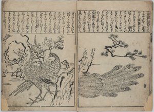 Uma coleção de flores e pássaros (Kacho zukushi) de Hishikawa Moronobu