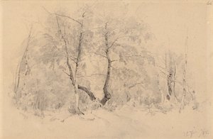 Bosque de bétulas de Hjalmar Munsterhjelm