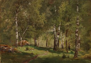  de Hjalmar Munsterhjelm