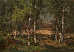 Paisagem com bosque de bétulas e campo de centeio de Hjalmar Munsterhjelm