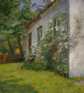 Casa com arbusto de rosas, Sandø