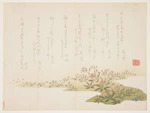 Violetas, c.1848-53 (impressão em xilogravura a cores) de Ho Shu