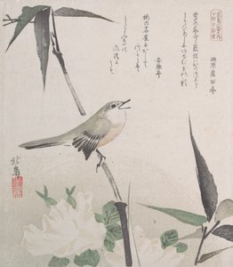 Rosas e Bambu com Rouxinol, Séc. XIX., Séc. XIX.
