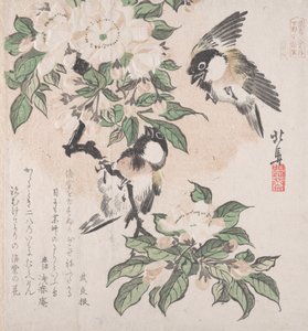 Coleção Spring Rain Harusame shu, vol. 3: Mamas do pântano e flores de macieira, ca. ..., cerca de 1820.