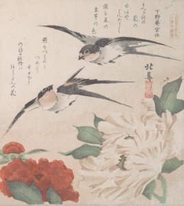 Coleção Spring Rain Harusame shu, vol. 3: Andorinhas e Peônias, ca. 1820., c. 1820.