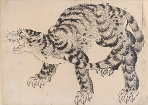 Tigre, século XIX.