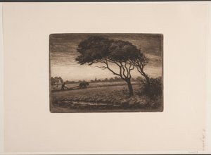 paisagem de outono