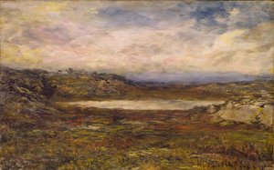 Costa Selvagem, Newport, c. 1885-1895.
