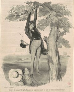Perigo de sacudir muito forte... Uma ameixeira de Honoré Daumier