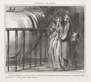 Exposição de Animais: Pl. 5, o vaca-elefante, nova variedade .... de Honoré Daumier