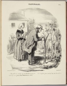 O meu enxerto de uma cerejeira num damasqueiro não pegou... de Honoré Daumier