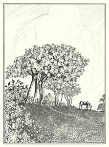 maio (litografia)