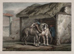 Cavalo de fazenda de Emile Jean Horace Vernet