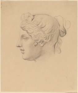 Cabeça Clássica em Perfil de Horatio Greenough