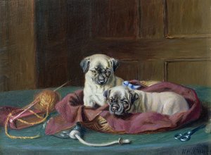 Pug Puppies in a Basket (painel)