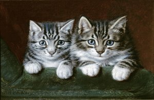 Dois gatinhos malhados (óleo sobre tela)