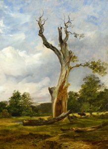 The Blasted Tree, c.1838 (óleo sobre tela)