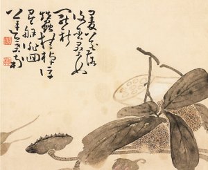 Folha de álbum pintada - planta de lótus, século XVIII