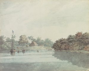 O periquito do Governador Geral no Ganges, Delta de Brahmaputra de Hubert Cornish