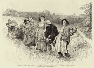Tess do D&39;Urbervilles