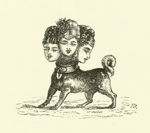 Fêmea Cerberus (gravura)