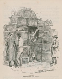 Uma loja de aves de Hugh Thomson