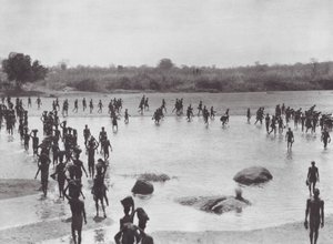 África: Morus a construir uma ponte perto de Amadi (fotografia a preto e branco) de Hugo Adolf Bernatzik