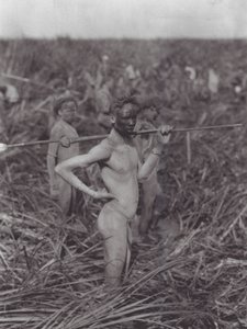 África: Guerreiros Nuer no pântano (fotografia a preto e branco) de Hugo Adolf Bernatzik