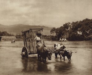 México: Carro de bois com rodas em forma de discos (fotografia a preto e branco) de Hugo Brehme