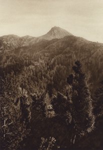Mexico: Nevado de Colima, Vista parcial (b/w photo) de Hugo Brehme