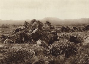 Mexico: Pedregal, Corriente de basalto-lava cerca de San Angel (b/w photo) de Hugo Brehme