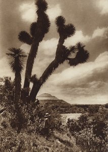 México: San Juan Teotihuacan, Piramide del Sol (fotografia a preto e branco) de Hugo Brehme