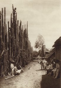 México: Santiago, rua caraterística da aldeia com cactáceas em forma de colunas (fotografia a preto e branco) de Hugo Brehme