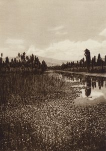 México: Xochimilco, um dos principais canais (fotografia a preto e branco)