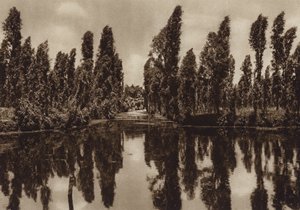 México: Xochimilco com os chamados "Jardins Flutuantes" (fotografia a preto e branco) de Hugo Brehme