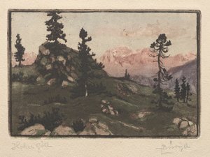 Gaivota alta. de Hugo Burghel