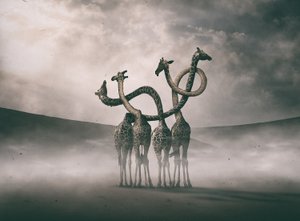  de Hussain Buhligaha