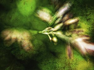 Texturas verdes abstratas de Ida Publishing