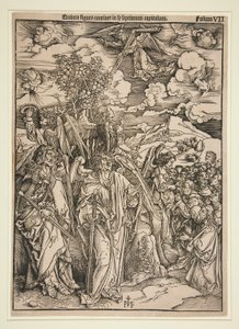 Cópia após Durer de Ieronimus von Frankfurt Greff