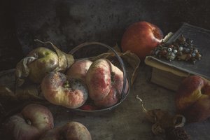 Fruta de Outono Melancólica