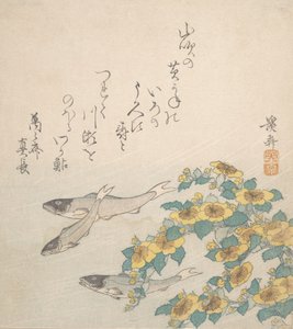Peixes Nadando com Flores Amarelas, ca. 1830. de Ikeda Eisen