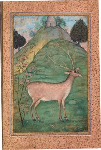 Buck em uma paisagem, c.1595 (wc opaca e ouro no papel) de Indian School