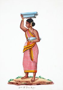 Pedra de transporte (wc no papel) de Indian School